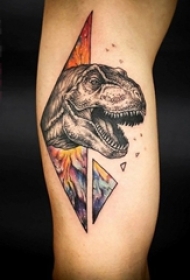 女生小腿上黑色素描彩绘菱形恐龙纹身图片