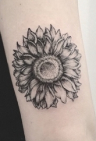男生手臂上黑色点刺几何简单线条植物向日葵纹身图片