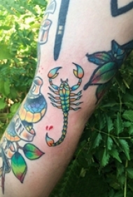 百乐动物纹身 男生手臂上彩色的蝎子纹身图片