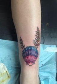 贝壳图案纹身 女生手臂上彩色的贝壳纹身图片