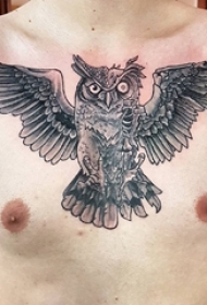 男生胸部黑色点刺简单线条个性小动物猫头鹰纹身图