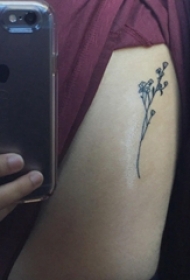女生手臂上黑色简单线条小清新植物花朵纹身图片