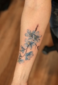 男生手臂上蓝色渐变简单线条小清新植物花朵纹身图片