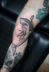 鲨鱼纹身图 男生小腿上彩色的鲨鱼纹身图片