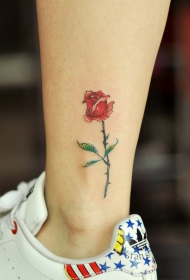 小腿下的鲜艳小玫瑰花纹身图案