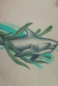 男生侧腰上彩绘渐变简单线条植物水草和鲨鱼纹身图片