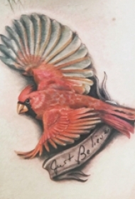 小鸟3d纹身 男生侧腰上彩色的小鸟纹身图片
