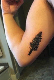 男生手臂上黑色点刺抽象线条植物大树纹身图片