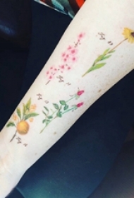 小清新植物纹身 女生手臂上彩色的植物纹身图片
