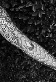 女生手臂上黑灰素描几何元素创意花纹唯美花臂纹身图片
