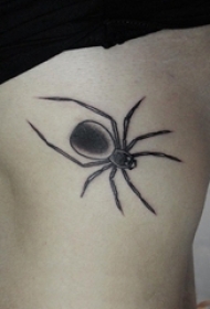 女生侧腰上黑灰点刺简单线条小动物蜘蛛纹身图片