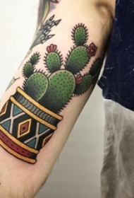 男生手臂上彩绘渐变几何简单线条植物仙人掌纹身图片