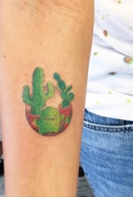 女生手臂上彩绘水彩素描创意文艺仙人掌纹身图片
