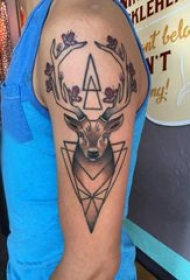 麋鹿纹身 男生手臂上麋鹿纹身图片