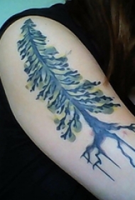 女生手臂上彩绘水彩素描文艺经典树木纹身图片