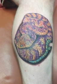 欧美小腿纹身 男生小腿上彩色的蛇纹身图片