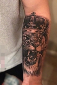 男生手臂上黑白素描点刺技巧动物狮子头纹身图片