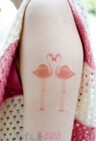 女生手臂上彩绘水彩素描创意千顶鹤纹身图片