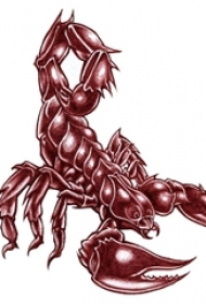 彩绘水彩素描创意霸气蝎子纹身手稿