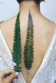 女生背部彩绘水彩素描创意文艺树叶纹身图片