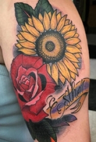 女生手臂上彩绘英文和植物玫瑰和向日葵花朵纹身图片