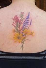 纹身小花朵 女生后背上彩色的花朵纹身图片