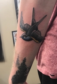 小鸟3d纹身 男生手臂上彩色的小鸟纹身图片