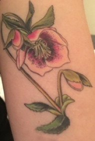 女生大腿上彩绘渐变简单线条植物文艺花朵纹身图片