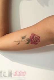 女生手臂上彩绘水彩唯美文艺小清新玫瑰纹身图片
