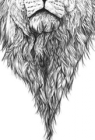 黑色线条素描创意霸气经典狮子头纹身手稿