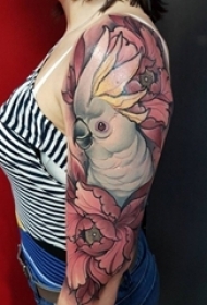 女生手臂上彩绘文艺花朵和小动物鹦鹉纹身图片