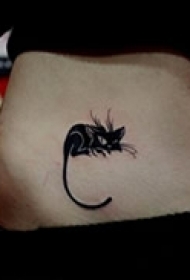 腹部艺术小猫纹身图片