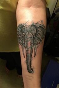男生手臂上黑灰素描点刺技巧创意精美大象纹身
