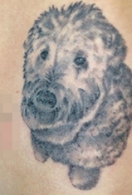 手臂上黑白点刺技巧可爱动物小狗纹身图片