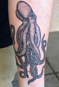 男生手臂上黑色点刺简单抽象线条章鱼纹身图片