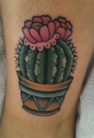 男生线条上彩绘几何线条植物花朵仙人掌纹身图片