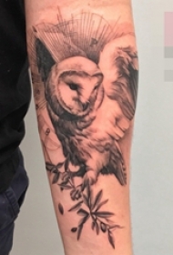 手臂上点刺技巧植物素材猫头鹰动物纹身图片