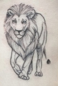 霸气的黑灰点刺简单抽象线条小动物狮子纹身图片