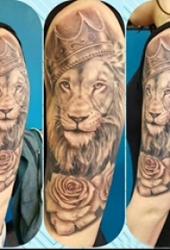 男生手臂上黑灰素描点刺技巧创意狮子纹身图片