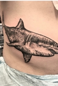 百乐动物纹身 男生侧腰上黑色的鲨鱼纹身图片
