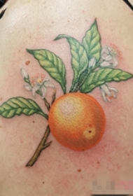 女生手臂上彩绘技巧植物素材香橙树枝纹身图片