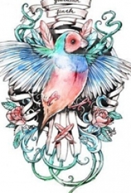 彩绘水彩素描创意文艺唯美小鸟纹身手稿