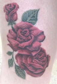 男生大腿上彩绘水彩素描文艺唯美玫瑰纹身图片