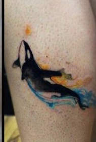 纹身鲸鱼 男生小腿上彩色的鲸鱼纹身图片