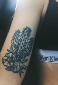 女生手臂上黑灰素描点刺技巧创意文艺仙人掌纹身图片