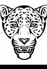 黑色的豹子头纹身动物图腾纹身手稿素材