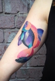 女生手臂上彩绘渐变小动物鱼创意纹身图片