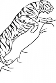 黑色线条创意动物老虎纹身手稿