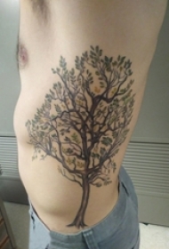 男生侧腰上彩绘渐变简单线条植物大树纹身图片