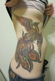 女生侧腰彩绘水彩创意个性霸气凤凰纹身图片